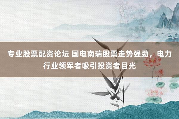 专业股票配资论坛 国电南瑞股票走势强劲，电力行业领军者吸引投资者目光