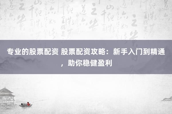 专业的股票配资 股票配资攻略：新手入门到精通，助你稳健盈利
