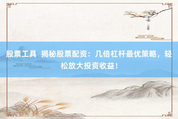 股票工具  揭秘股票配资：几倍杠杆最优策略，轻松放大投资收益！