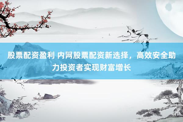 股票配资盈利 内网股票配资新选择，高效安全助力投资者实现财富增长