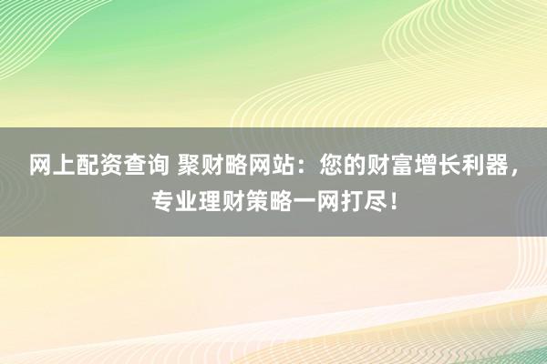 网上配资查询 聚财略网站：您的财富增长利器，专业理财策略一网打尽！