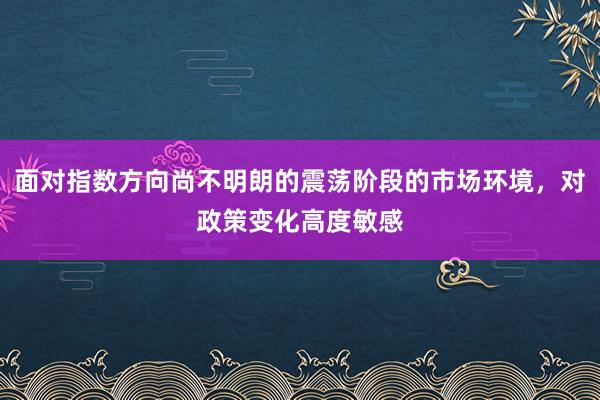 面对指数方向尚不明朗的震荡阶段的市场环境,对政策变化高度敏感
