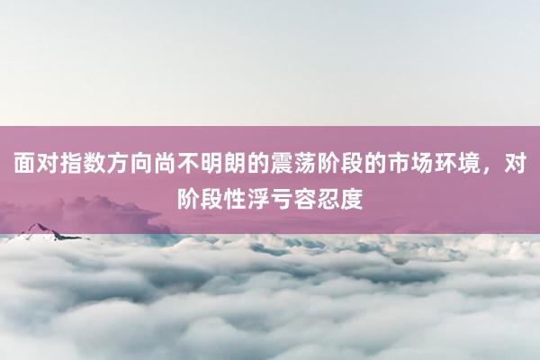 面对指数方向尚不明朗的震荡阶段的市场环境,对阶段性浮亏容忍度