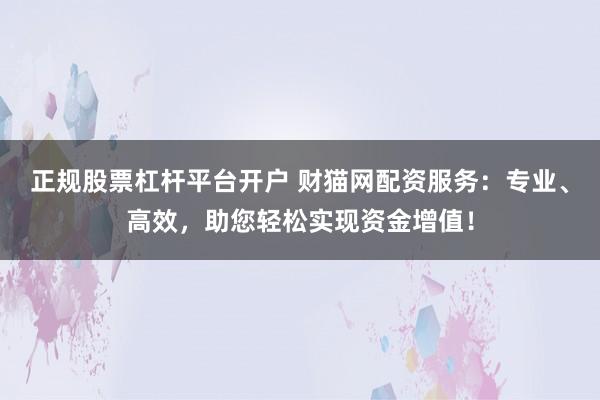 正规股票杠杆平台开户 财猫网配资服务：专业、高效，助您轻松实现资金增值！