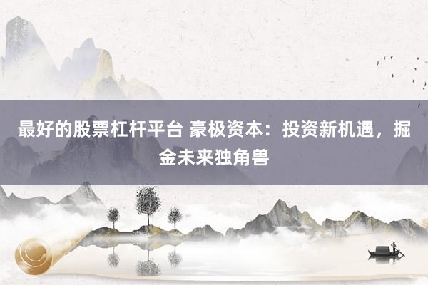 最好的股票杠杆平台 豪极资本：投资新机遇，掘金未来独角兽