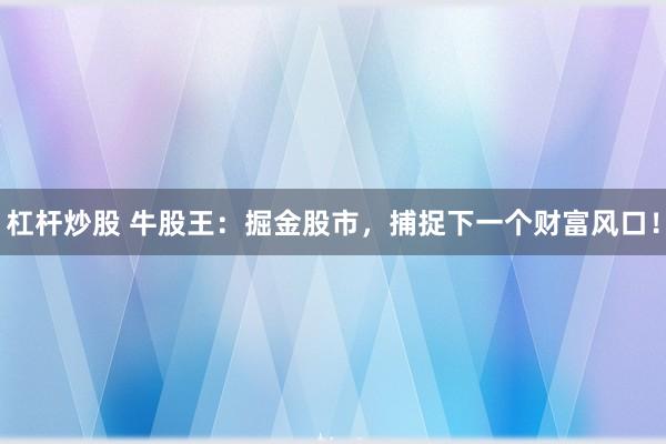 杠杆炒股 牛股王：掘金股市，捕捉下一个财富风口！